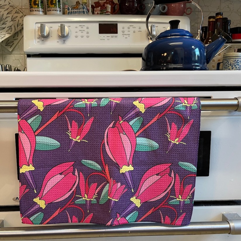 wildflower called shooting star on kitchen towel by Sheri42