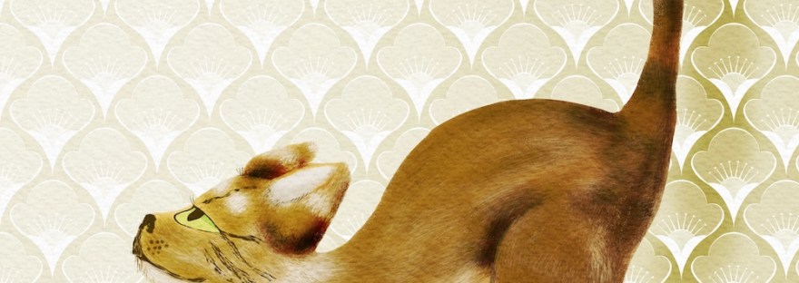 full size brown almost tabby and yoga cat, stretching cat; day 87 by Sheri42