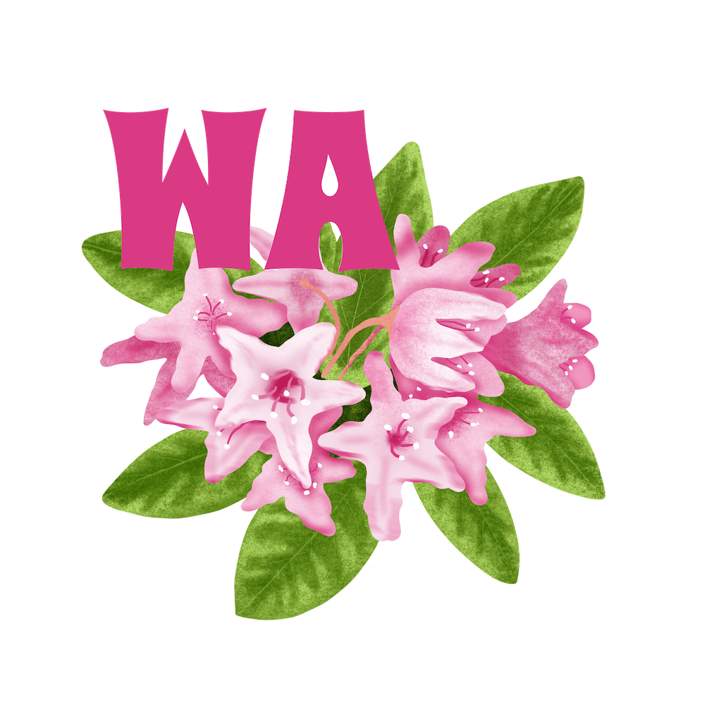 WA State Flower rhododendron sticker by Sheri42