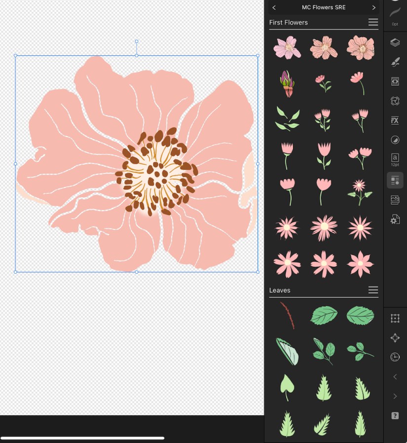 More First vector flower and leaf assets by Sheri42 in Affinity Designer -- adding in the wild prairie rose florals and leaves