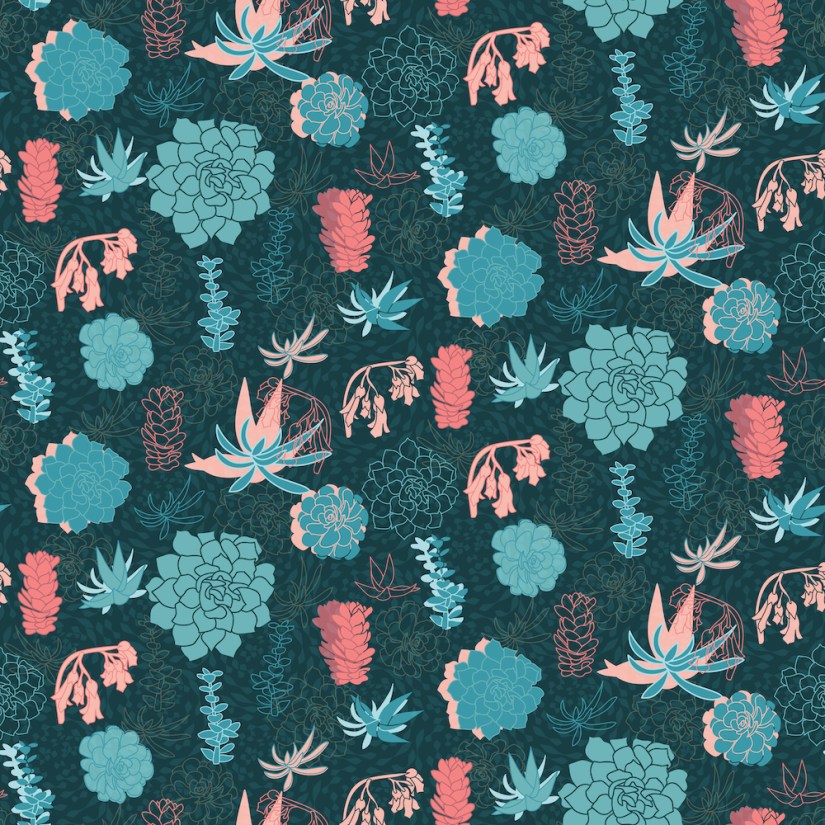 vector succulents in four forms: solid, filled minus outline, outline, outlined solid. Sheri42