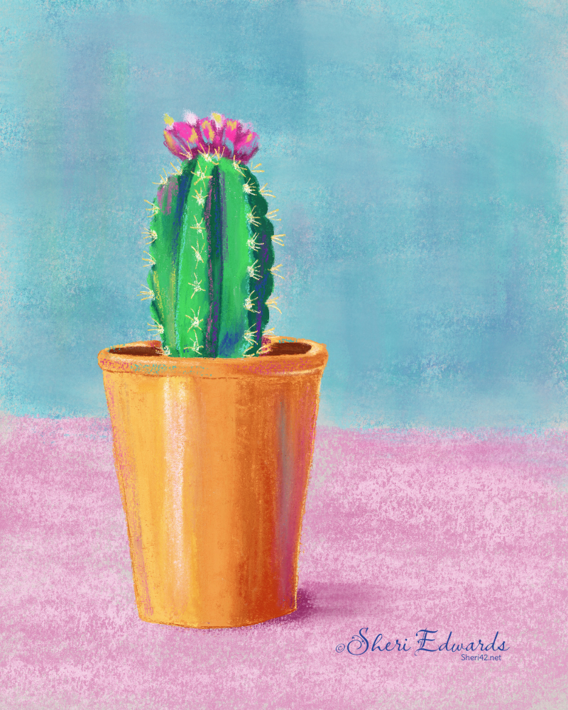 Blooming Cactus with Pops of Color Sheri42