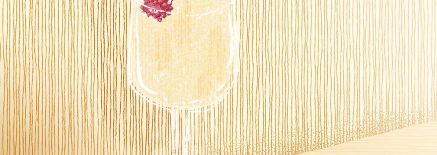 Champagne with raspberry by Sheri42