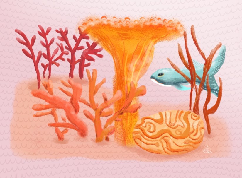playing with color: coral color and coral under the sea by Sheri42