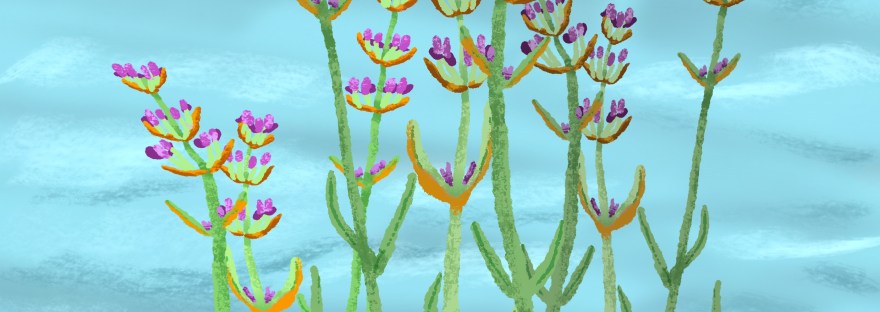 Lavender Lovely by Sheri42