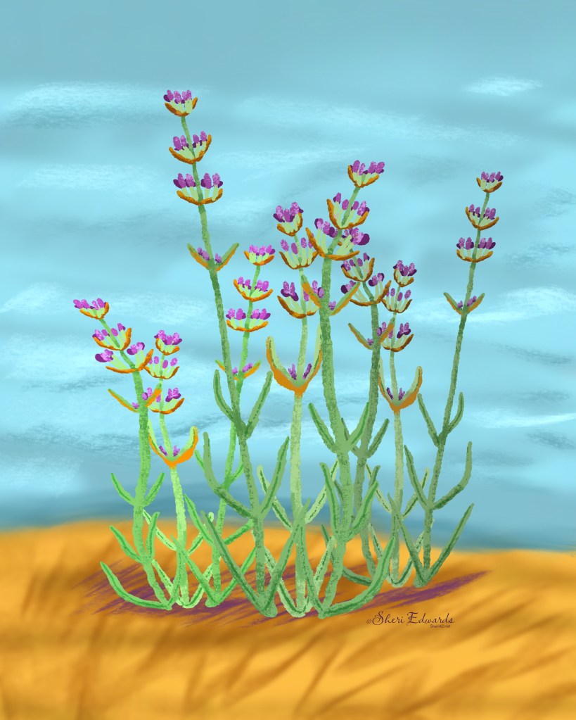 Lavender Lovely by Sheri42