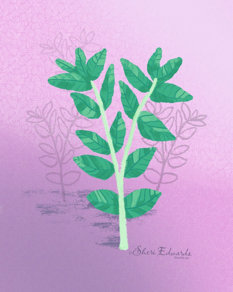 Mint: it really is all through our lawn; by Sheri42