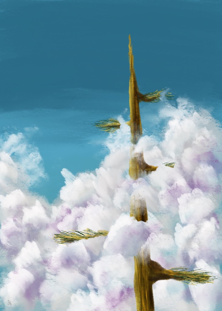 tall pine in puffy clouds by Sheri42