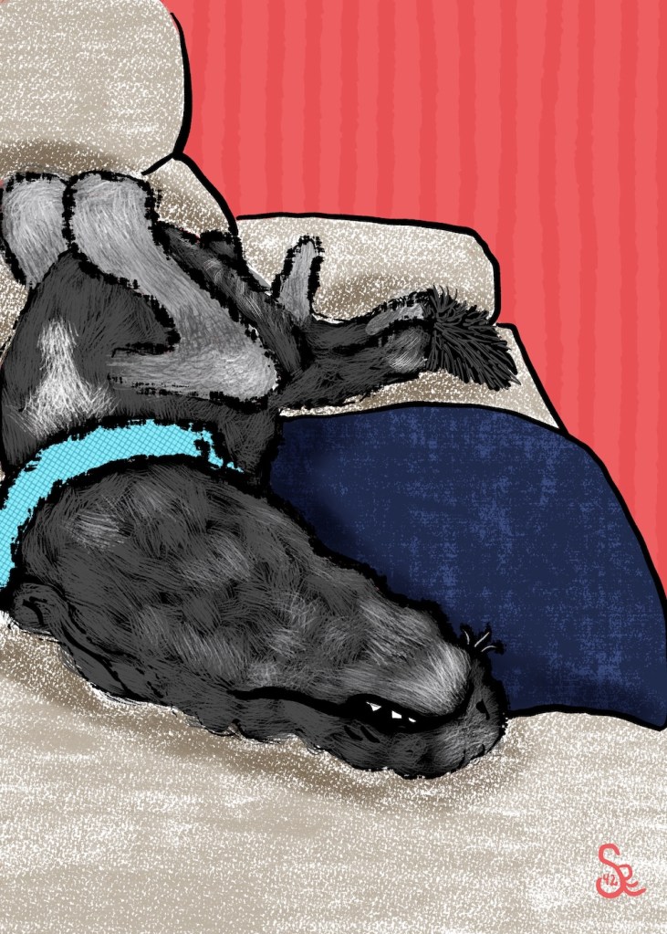 #makingarteveryday from #bardotbrush prompt: sleeping pet by Sheri42