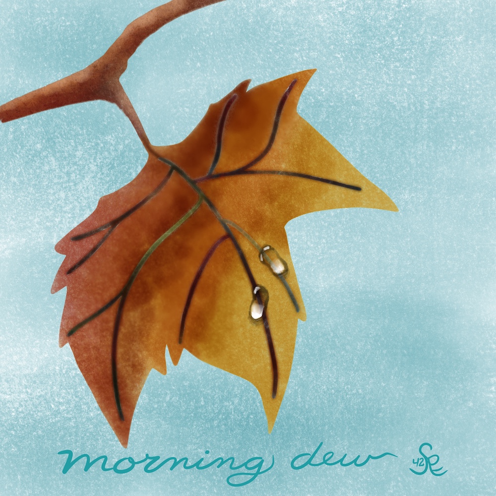 morning dew on maple leaf by Sheri42