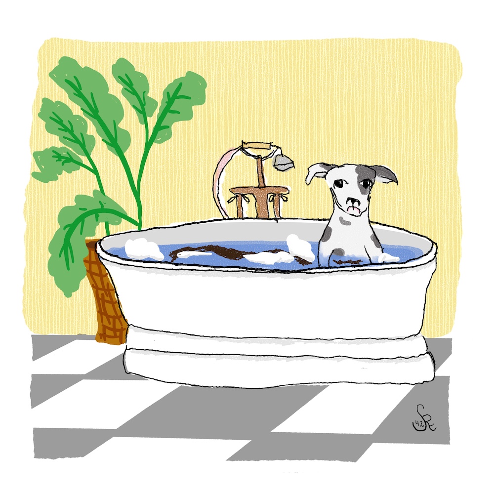 warm bath; dirty dog by sheri42