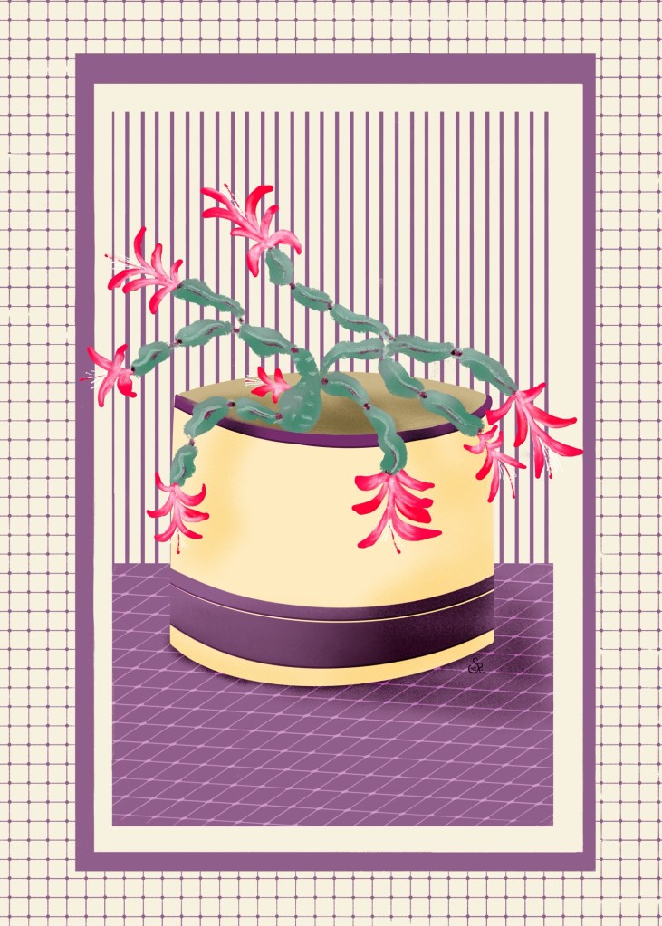 Christmas Cactus by Sheri42