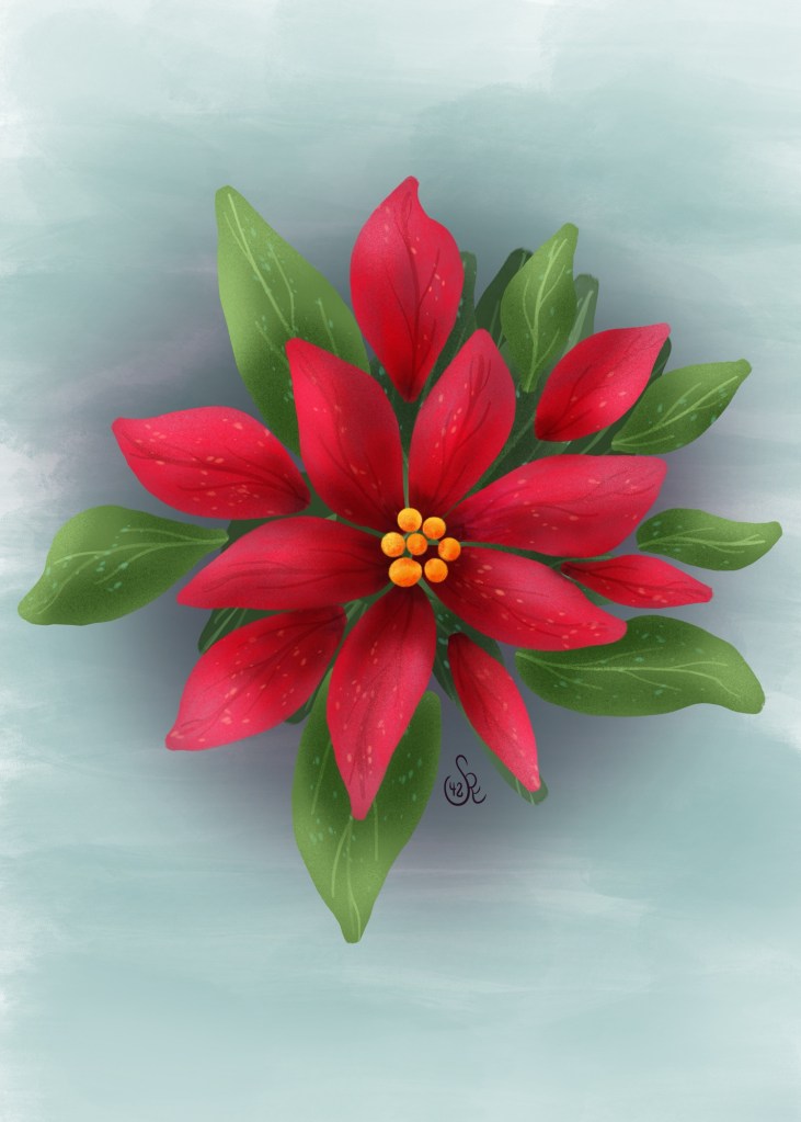 poinsettia by Sheri42