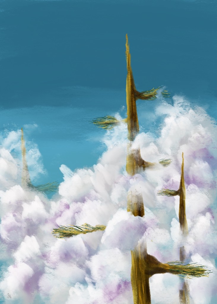 tall trees in the clouds by Sheri42