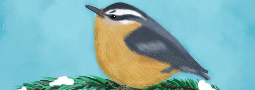 "Winter Greetings" painting of "red-breasted nuthatch [Sitta canadensis] on pine branch with pinecone by Sheri42