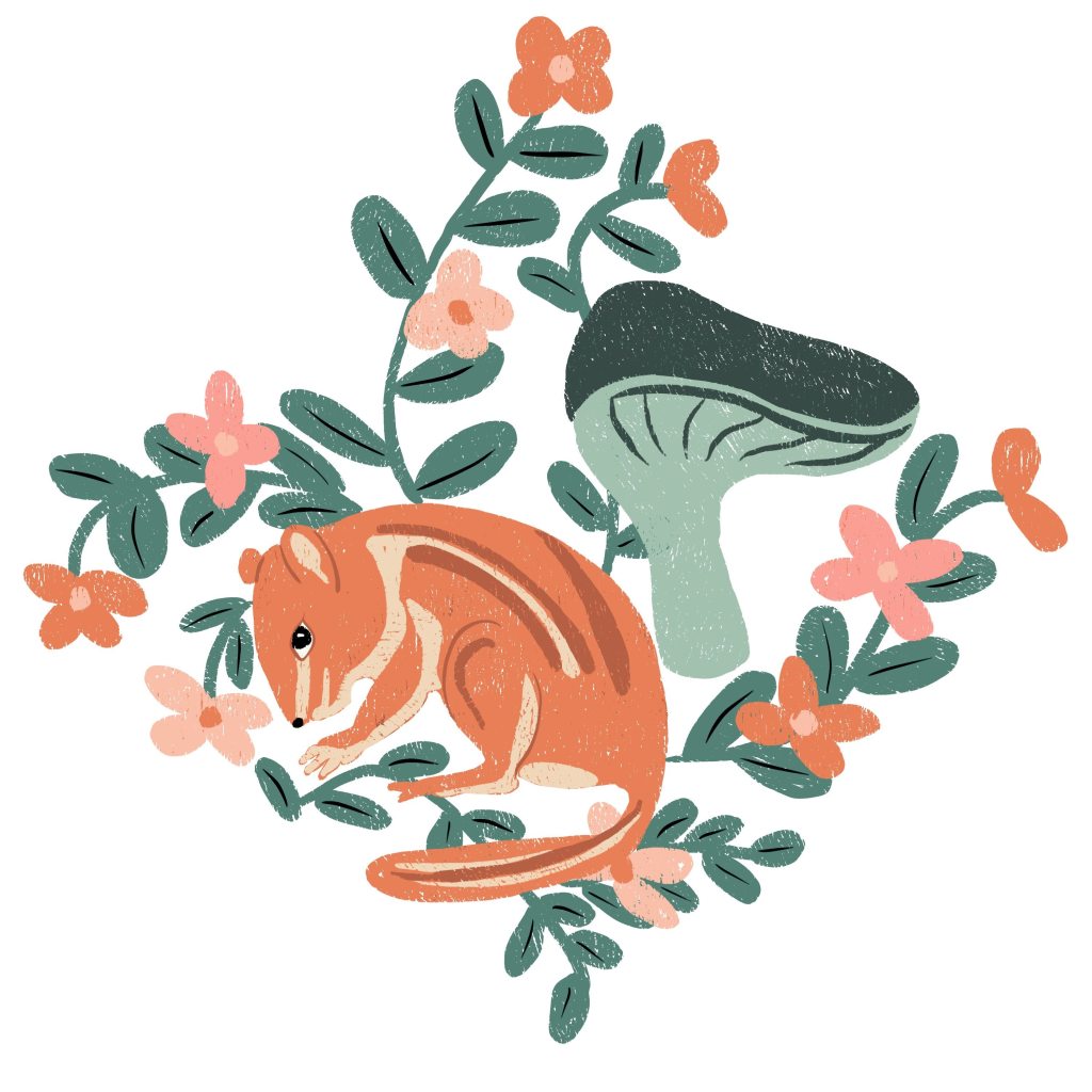 squirrel huddled mushroom by Sheri42