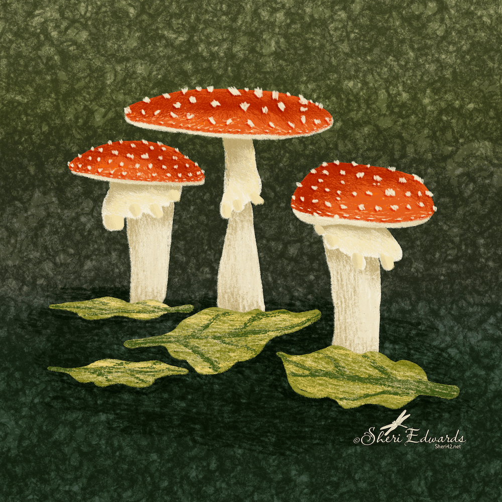 red mushrooms by Sheri 42