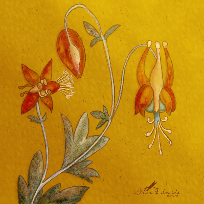 vintage columbine by Sheri42