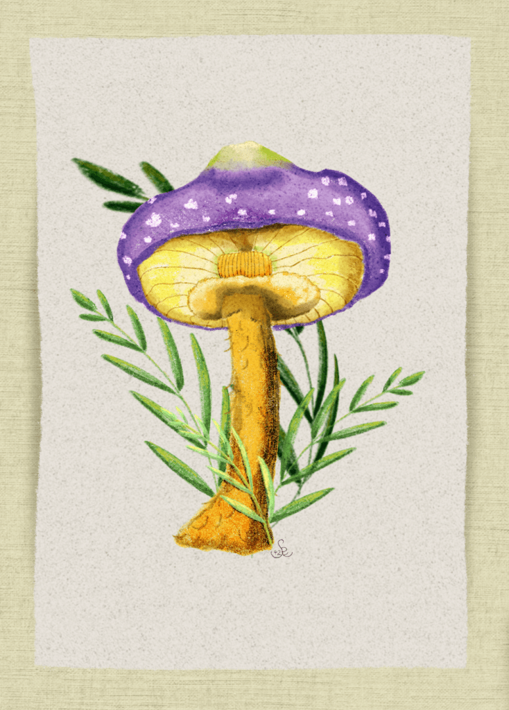 Purple mushroom by Sheri 42
