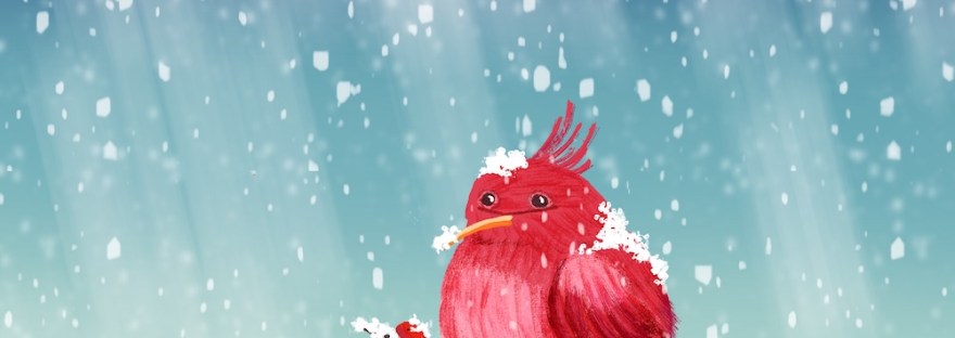 cardinal and quote by Sheri 42