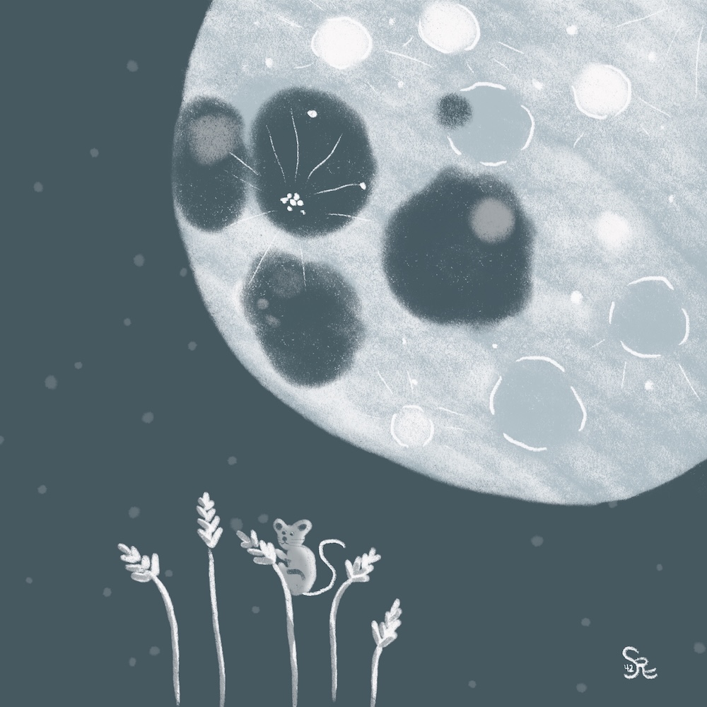 Moon and Mouse Bootcamp by Sheri42