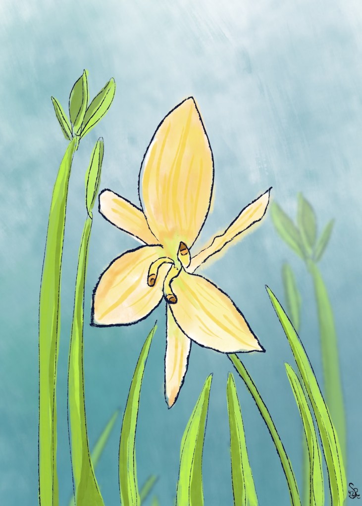 blind sketch, then revise and color by Sheri42 with my new brushes