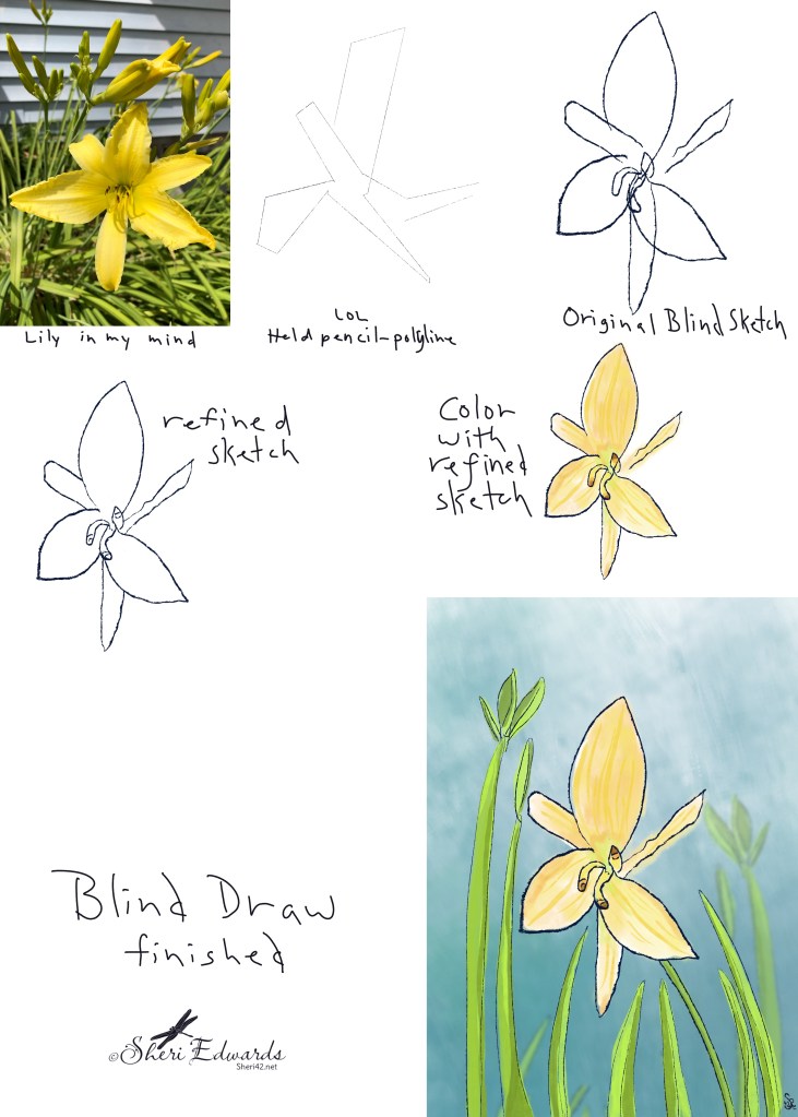 Sequence of sketches based on "blind" [not looking/eyes closed] sketching by Sheri42