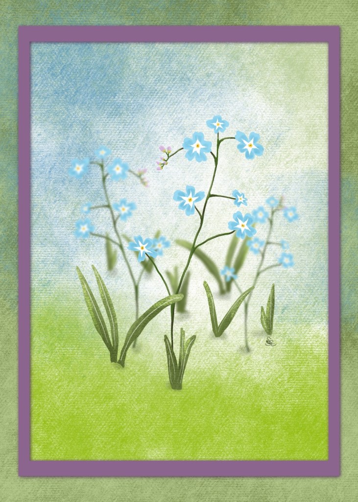 forget me nots; quick draw by Sheri42