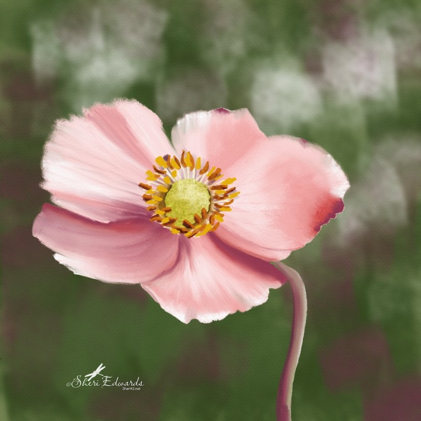 peone in pastels by Sheri42