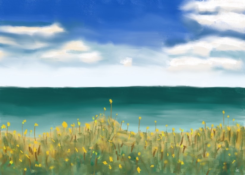 pastel: wildflowers by the ocean; by Sheri42