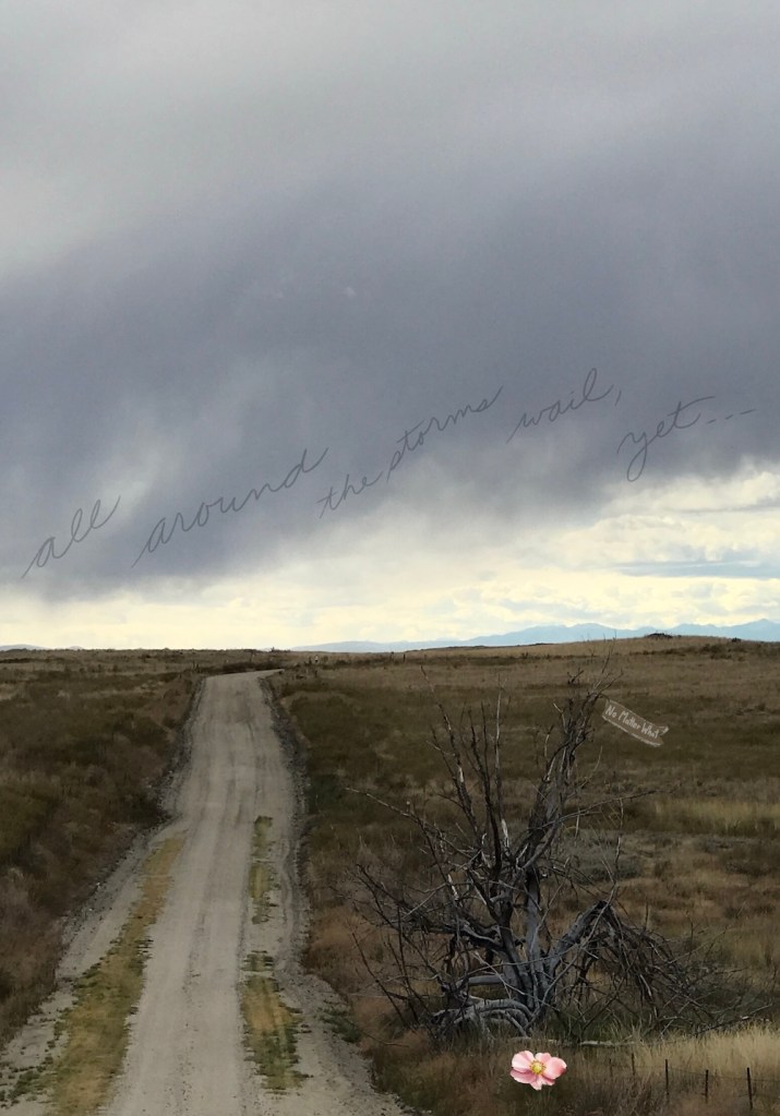 stormy weather on rural barely used road with dead tree; "all around the storms wail, yet..." banner says "No Matter What" and the peony still blooms; we resist; we renew; by Sheri42