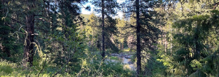 Okanogan-Wenatchee National Forest