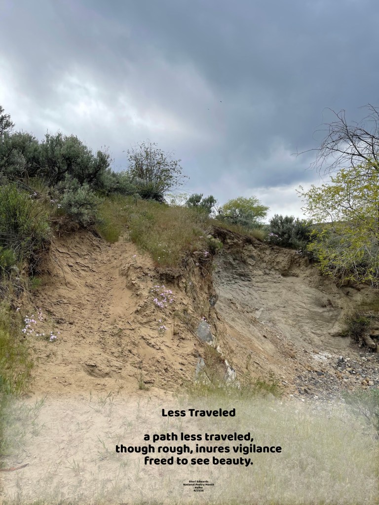 a rough path up the hill sparsely bounded by pink wildflowers; Crescent Bay; with poem from post; poetry/photo by Sheri Edwards