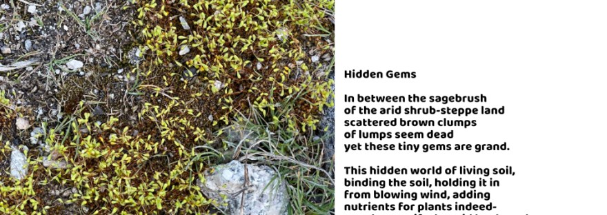 bryophytes: hidden gems of the soil; protect them; photography/poetry by Sheri42