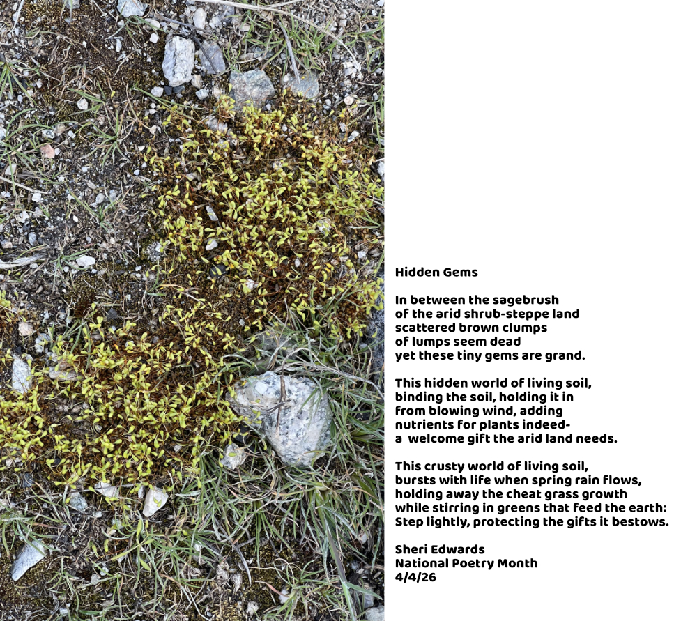 bryophytes: hidden gems of the soil; protect them; photography/poetry by Sheri42