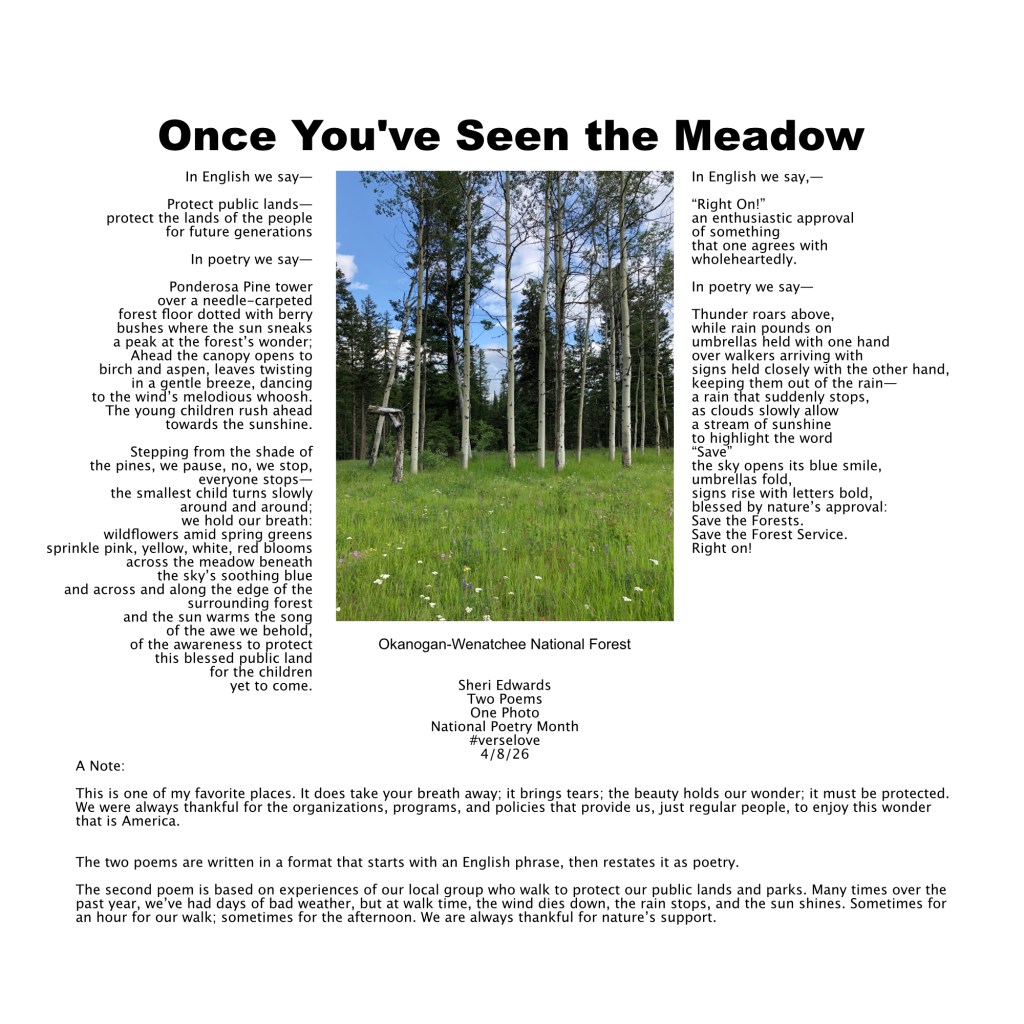 Okanogan-Wenatchee National Forest meadow with the poems and note from the blog post; photo and poetry by Sheri42