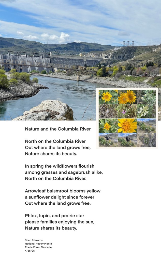 Grand Coulee Dam on the Columbia River with inset of wildflowers and poem from the post; photos and poem by Sheri Edwards