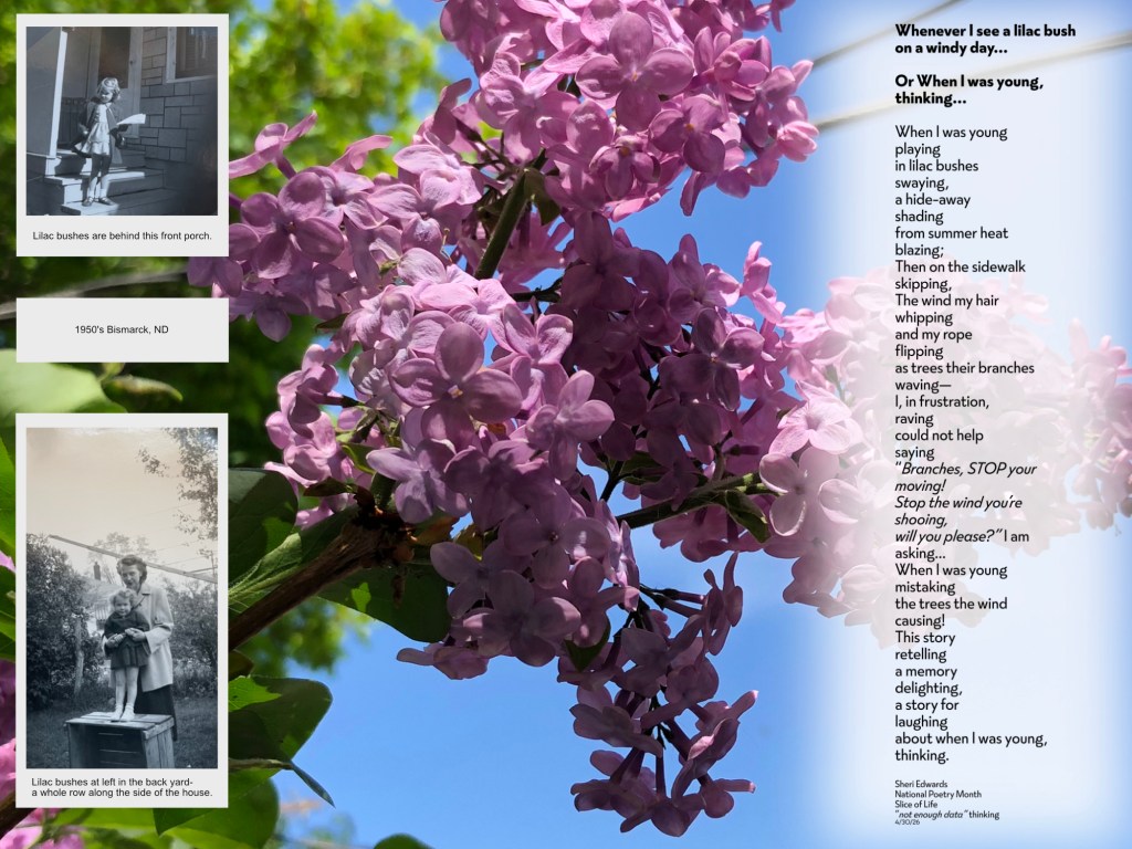 Lilac blossoms; photos of me in the 1950s; the poem from the post; photo/poetry by Sheri Edwards