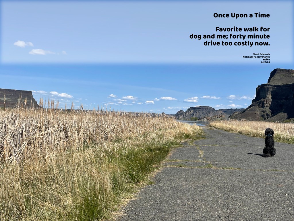 Steamboat Rock State Park;
Guthrie and I used to walk here almost every day each spring, but its twenty minutes out and twenty minutes back; gas prices are too high for a daily trip.