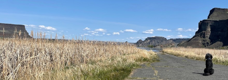 Steamboat Rock State Park