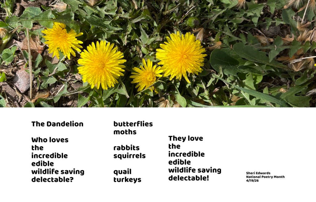 the incredible dandelion and poem from post; Sheri42