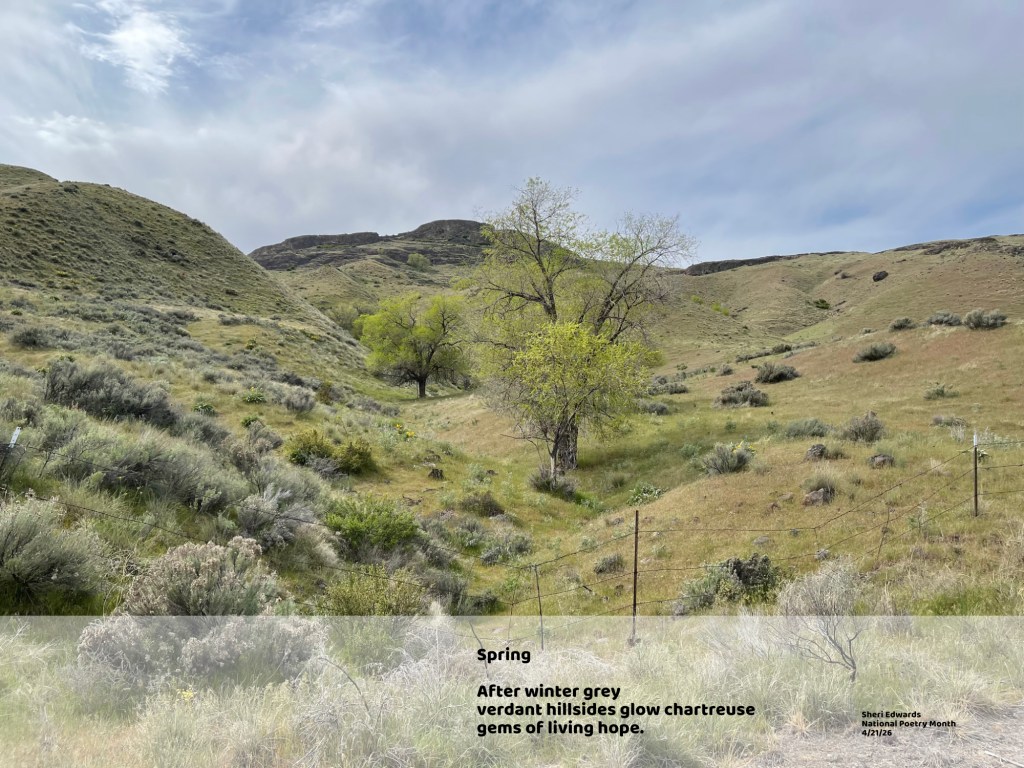 Washington Flats hillside with haiku; photo and poetry by Sheri Edwards