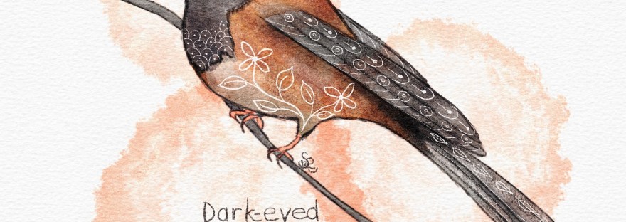 dark-eyed junco folk art watercolor by Sheri42