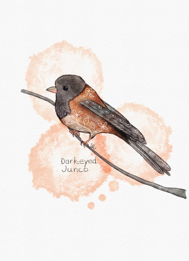 dark-eyed junco folk art watercolor by Sheri42