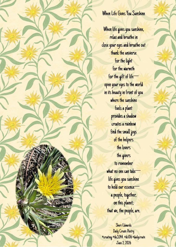 When life gives you sunshine poem from the blog; flower and art: Salsify; by Sheri42