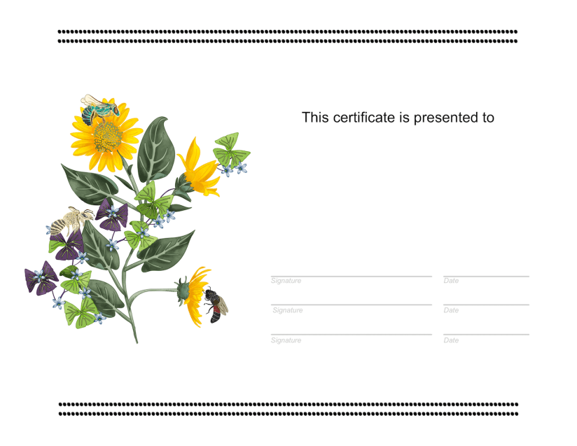 sample certificate with flowers and bees by Sheri42