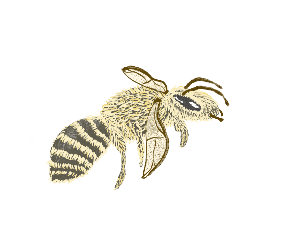 plaster bee by Sheri42