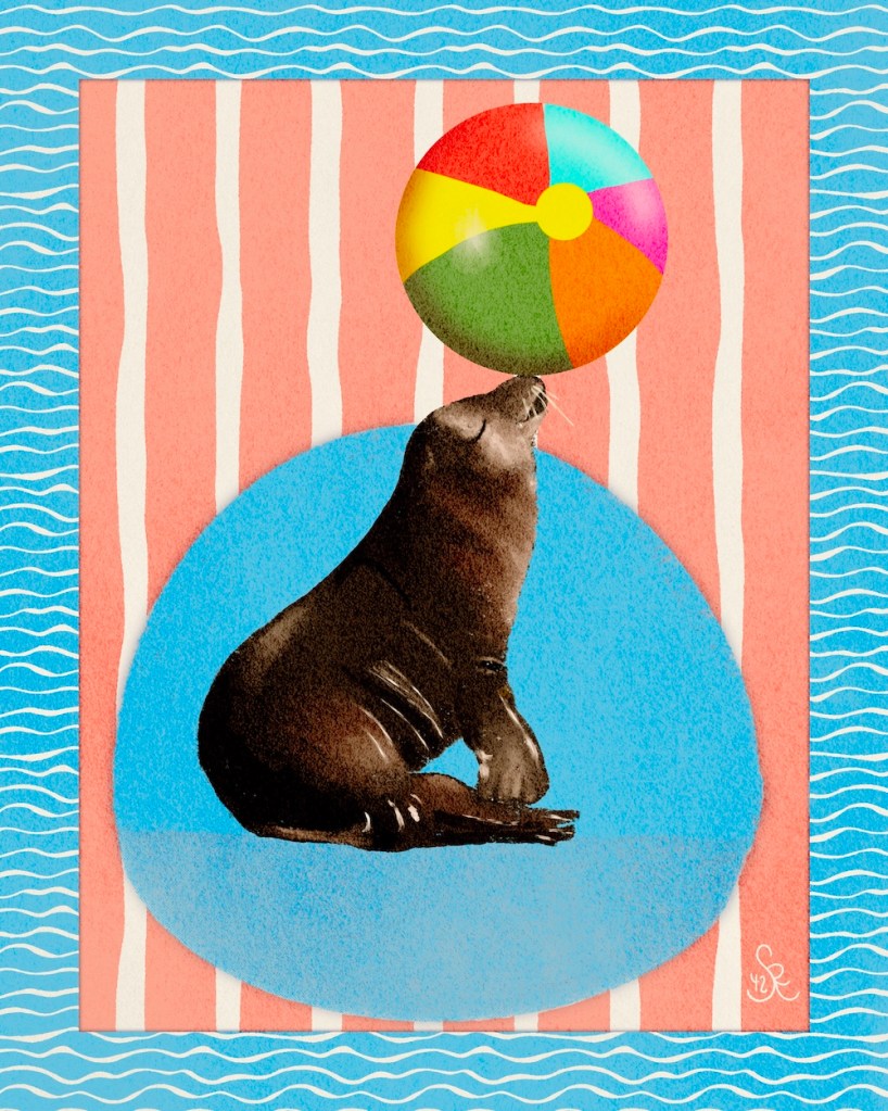 seal and balloon by Sheri42