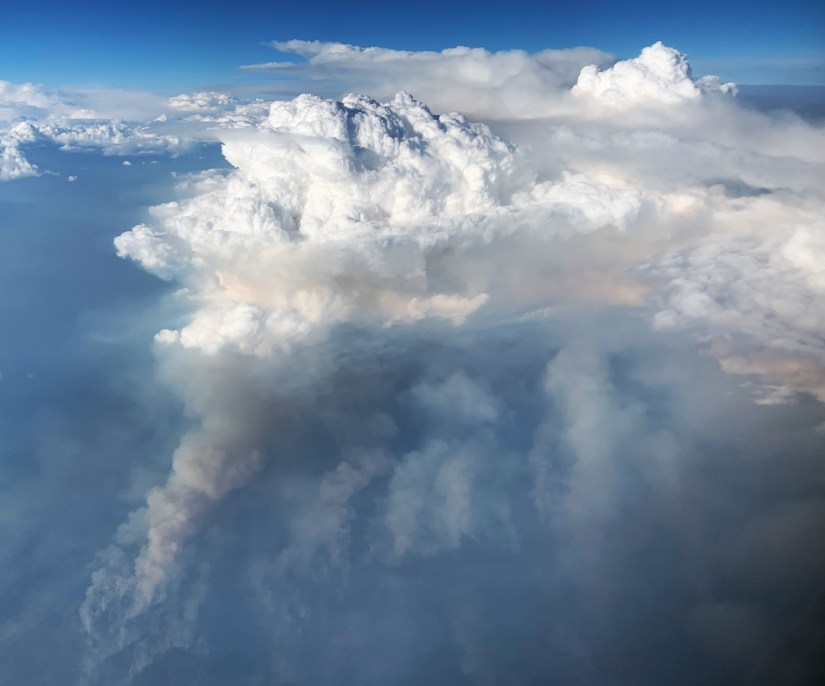 View of the Williams Flats fire while it was generating pyroCb activity on 08 August 2019 in Washington State. This picture was taken by Dr. David Peterson. Shared by U.S. Naval Research Laboratory; Public Domain