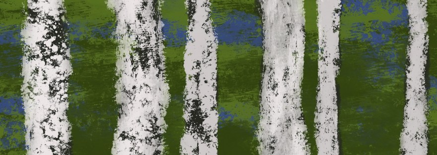 birch trees with one brush / Sheri42